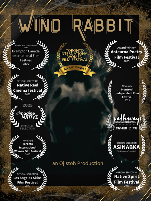 Wind Rabbit movie poster
